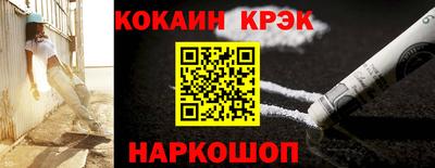 спайс Кингисепп
