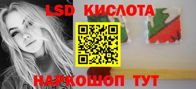 спайс Кингисепп