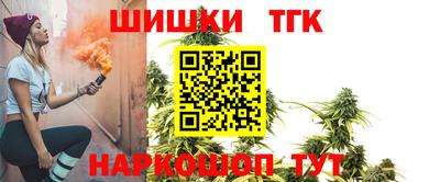 спайс Кингисепп