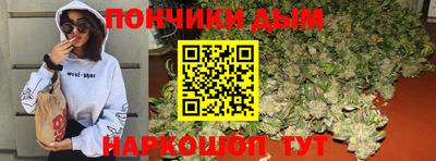 спайс Кингисепп