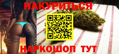 спайс Кингисепп