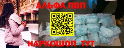 спайс Кингисепп