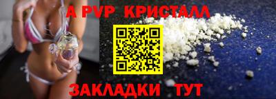 спайс Кингисепп