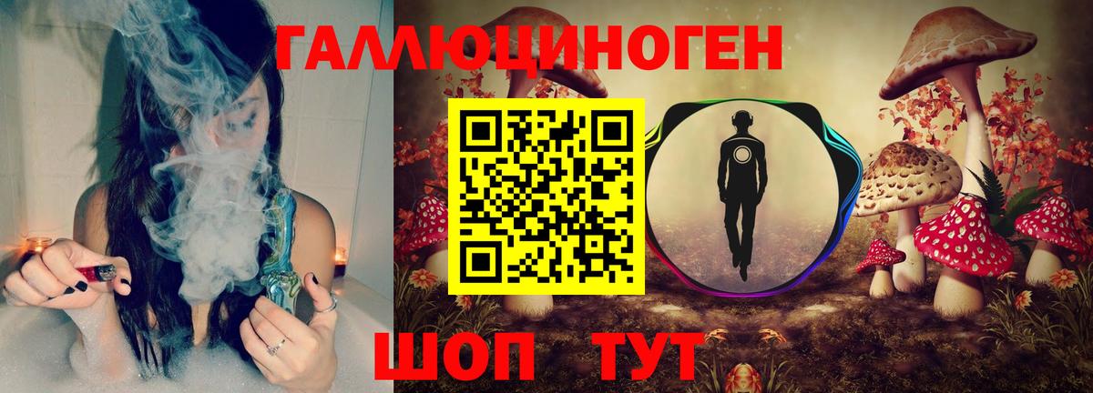 Галлюциногенные грибы Cubensis Ейск