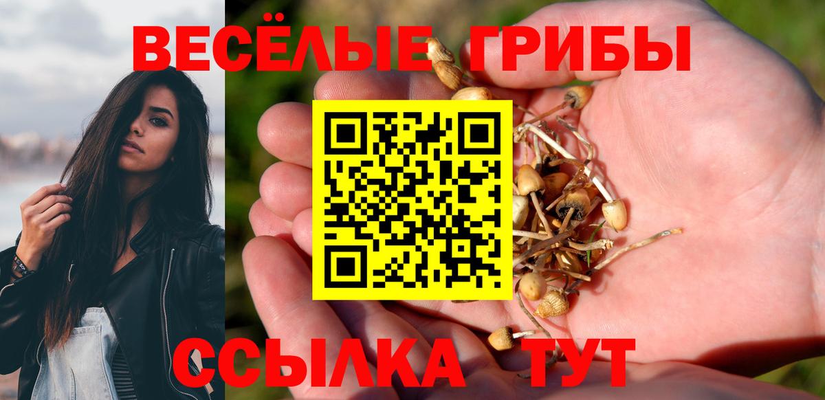 Галлюциногенные грибы Psilocybe  Вход с VPN  Псилоцибиновые грибы Psilocybine cubensis  Ейск 